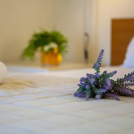 Artemis Villa *